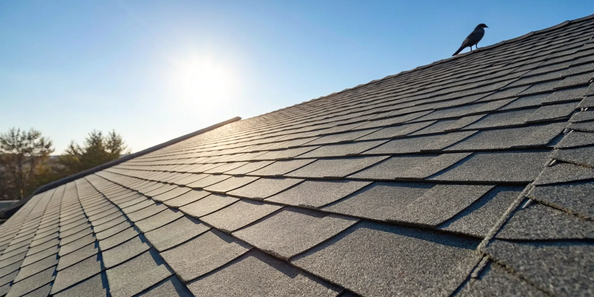 30-year shingle roof Houston TX